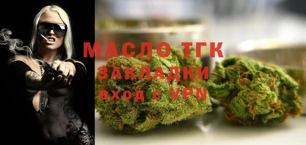 apvp Инсар