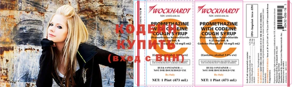 прущие грибы Инта