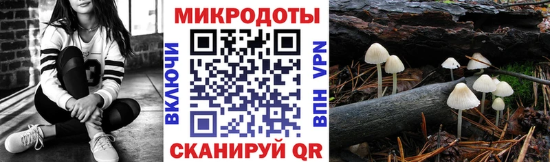 магазин продажи наркотиков  Кировград  Псилоцибиновые грибы Psilocybe 